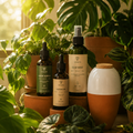 Plant Care Routine