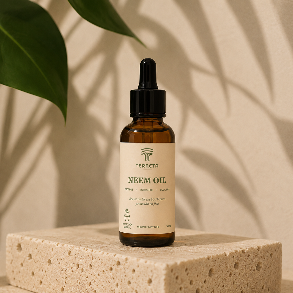 Plant Care Routine