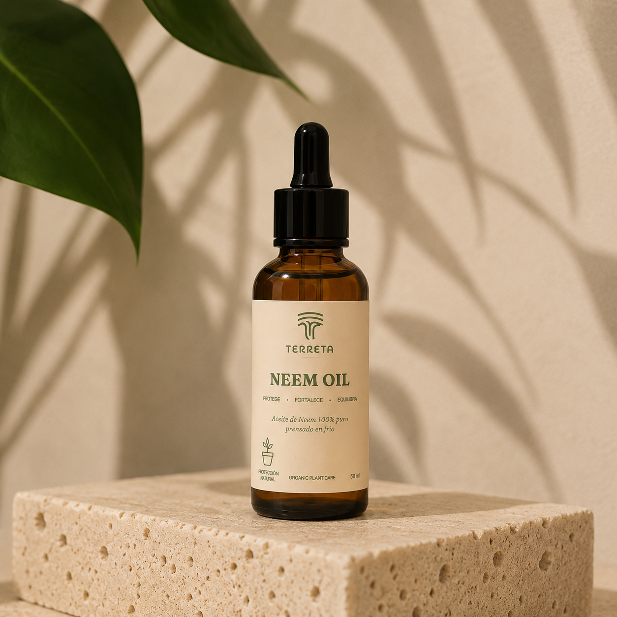 Plant Care Routine